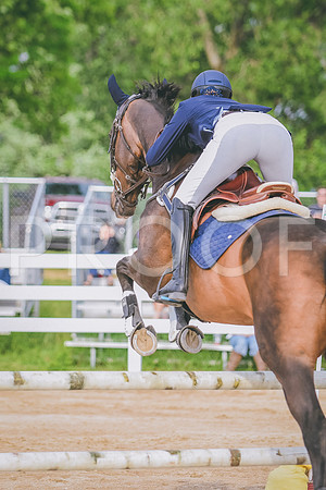 DSC_6559 copy