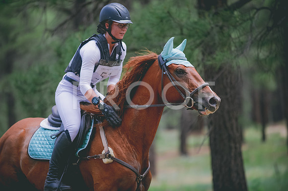 JJS_3047A