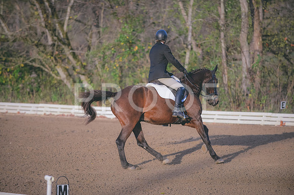 JJS_2852