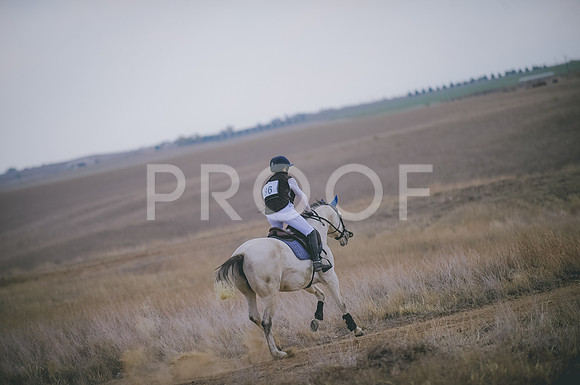 JJS_4471