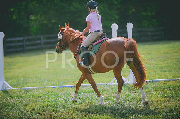 JJS_4228