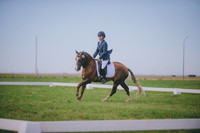 JJS_1352