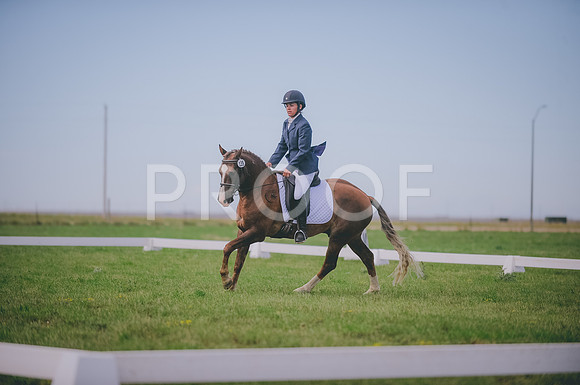 JJS_1352