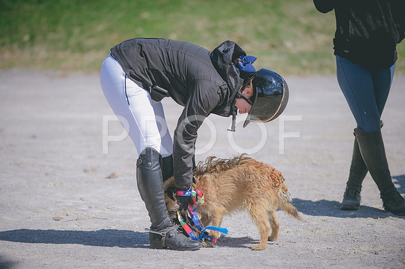 JJS_3939