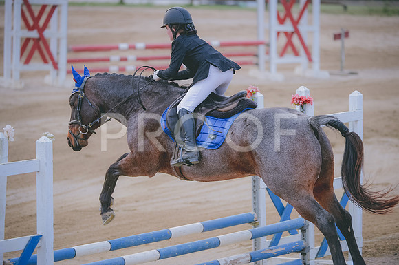JJS_2916