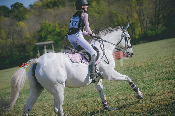 JJS_0256