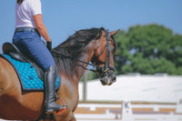 CDP_9174