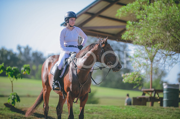 000_8629