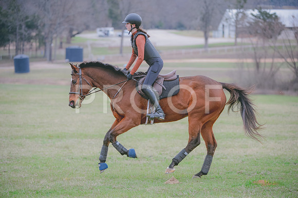 JJS_0522