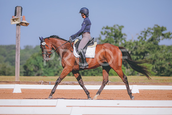 CDP_7869