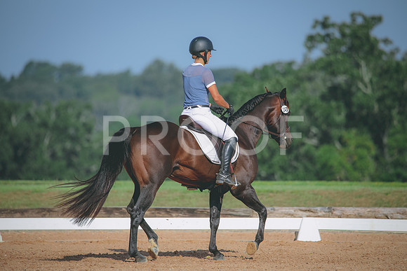 RWP_4599