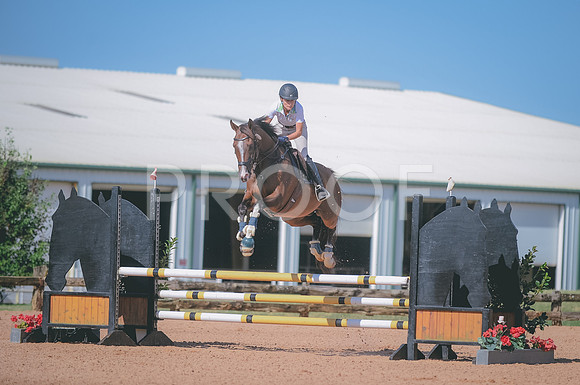 000_0439