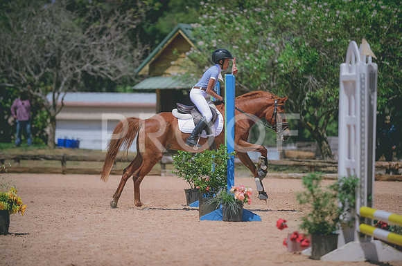 000_6302