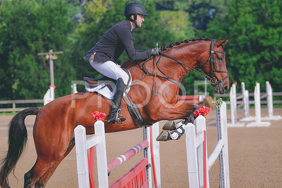 MEI_6203