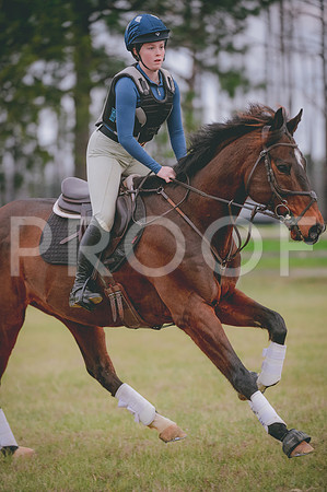 JJS_6120