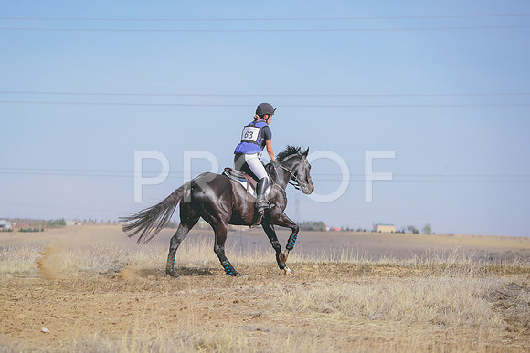 CDH_9720