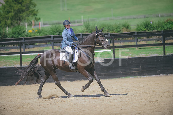 JJS_7247
