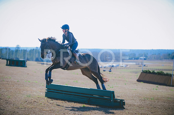 JJS_2134