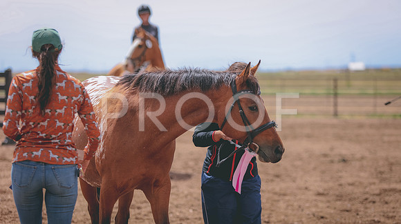 0N0A6408
