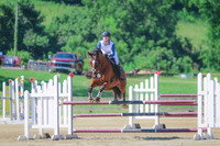 Carolyn Rice-The Fernhill Fox