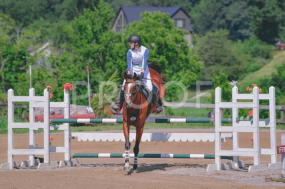MEI_6919