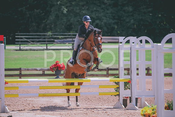 RWP_5184