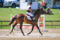 Joe Meyer/Ballygriffin Crossfield Cara
