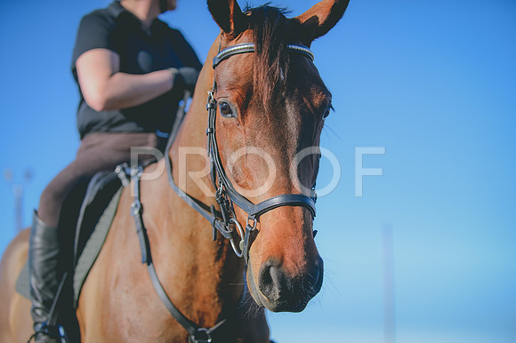 JJS_0719