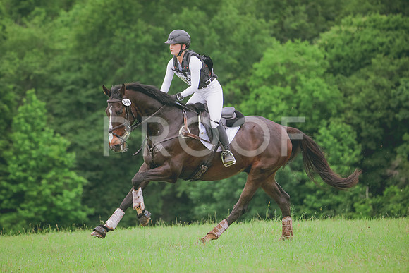 RWP_6153