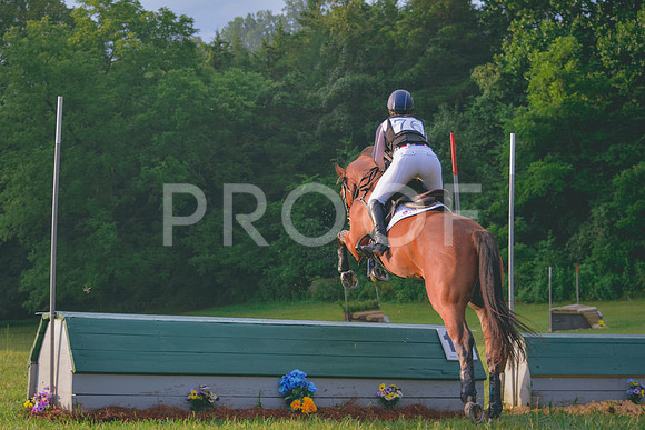 _CEP3534