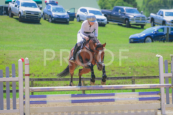 281A3979