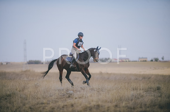 JJS_3620