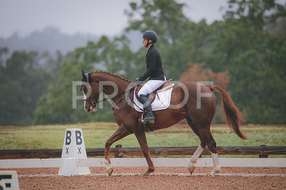 RWP_1035