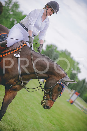 JJS_7913