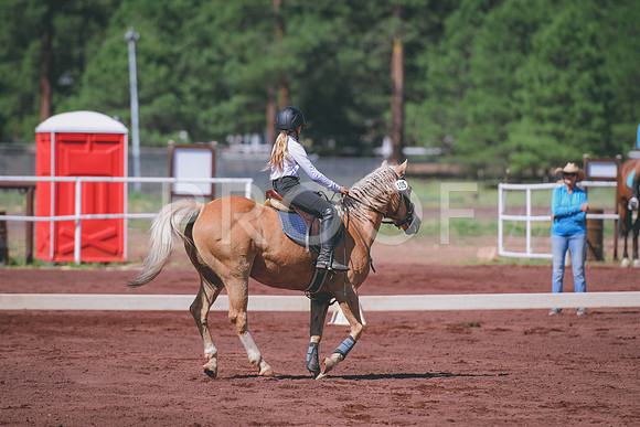 DSC_7146
