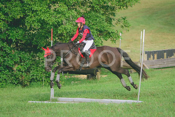 281A8135