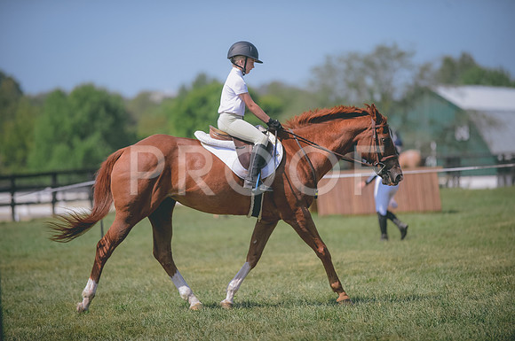 JJS_0286