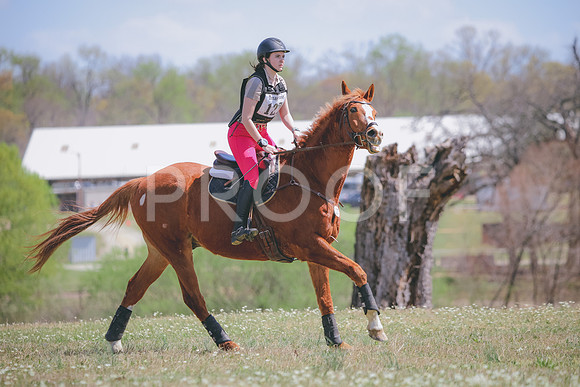 RWP_0441