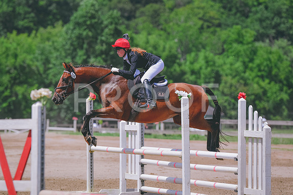 MEI_8801