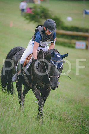 JJS_6468