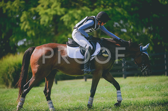 JJS_3576