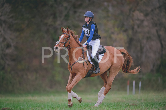 JJS_0282A