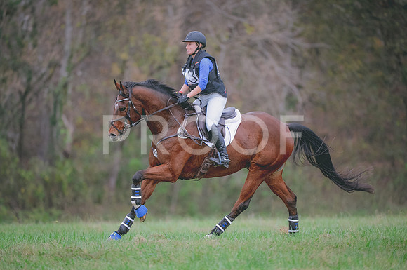 JJS_1317A