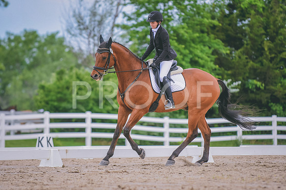 DSC_3379 copy