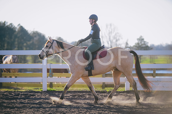 JJS_2842