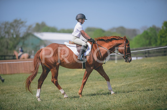 JJS_0298