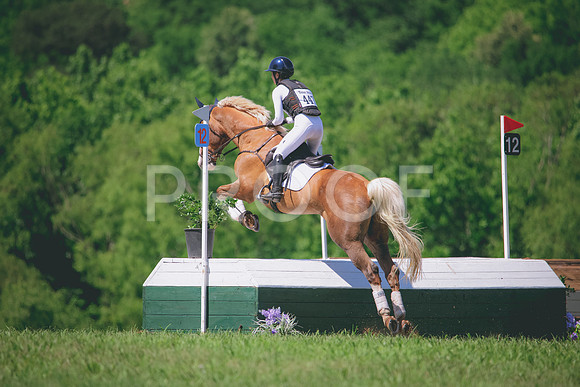 RWP_6484