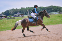 MEI_2008