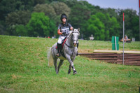MEI_2010
