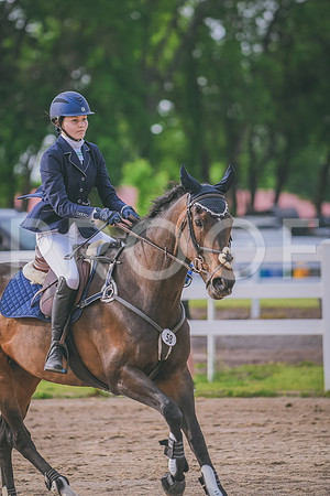 DSC_6507 copy